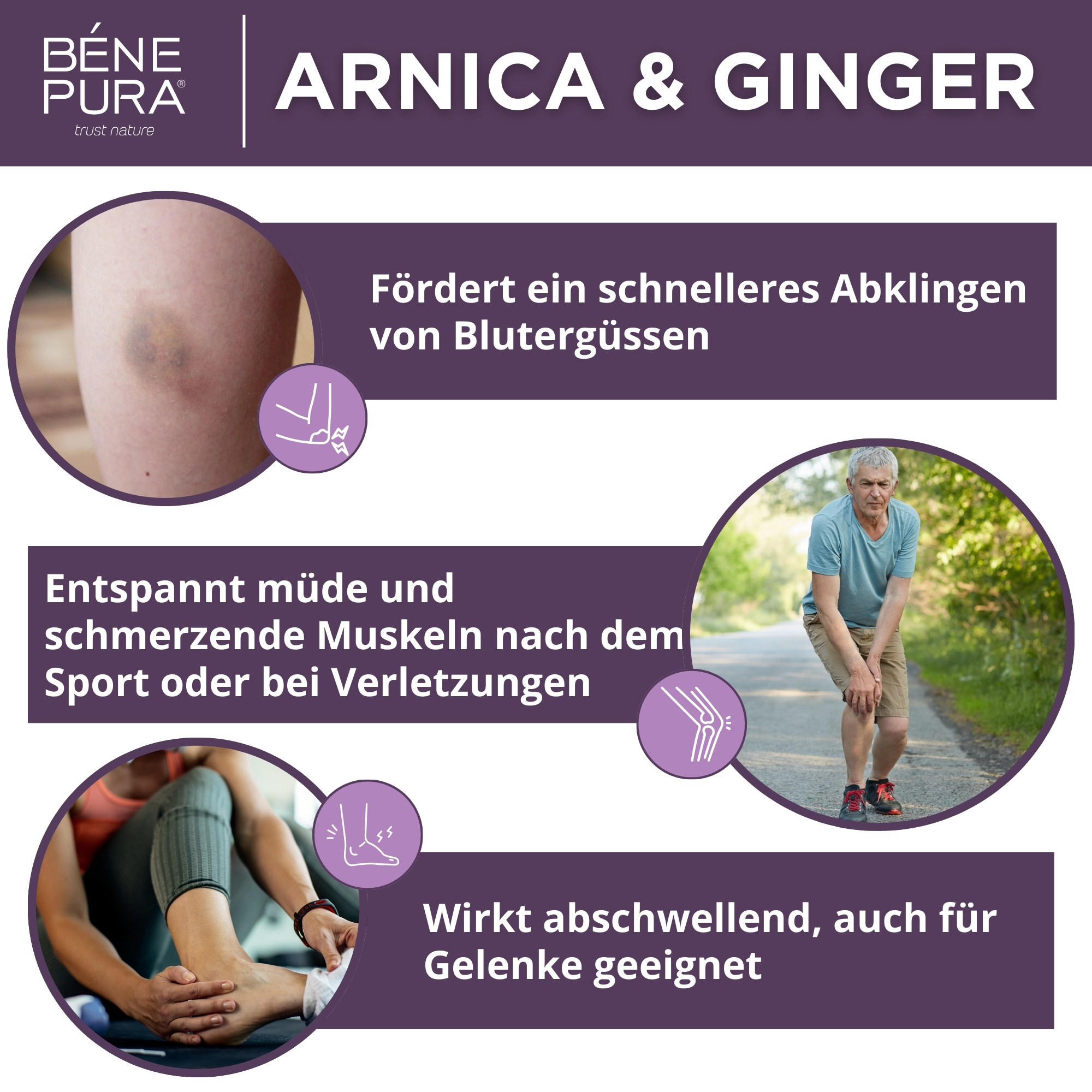 Beinwellsalbe mit Brennnessel und Arnika Salbe