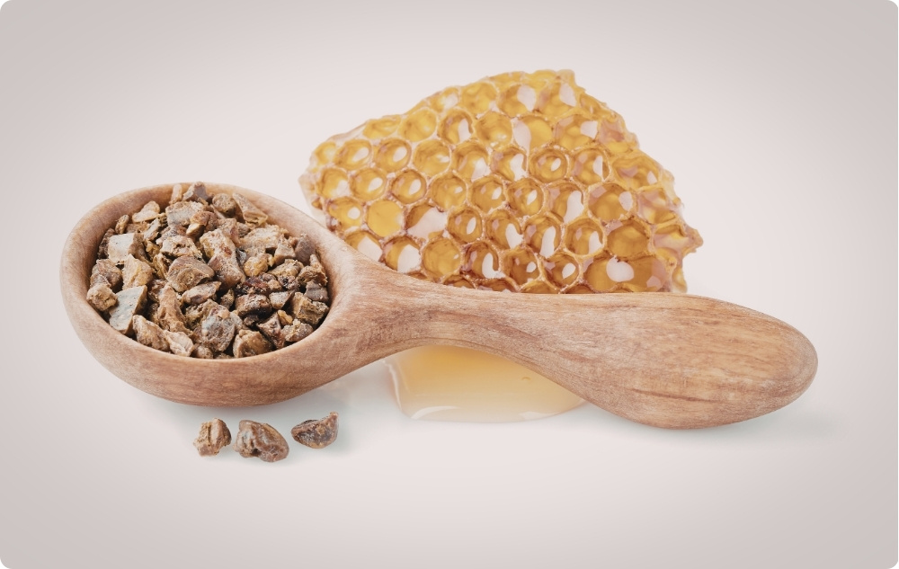 Propolis salbe gegen Trockene haut mit 30% Propolis - 40ml